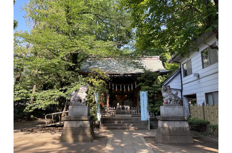 8A55C7A2-4376-40C4-BC97-06C8E5F56B1E